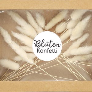 20 mini steli bianchi Lagurus – confezionati in modo sostenibile in una scatola di carta kraft | Perfetto per matrimoni, decorazioni e baby shower