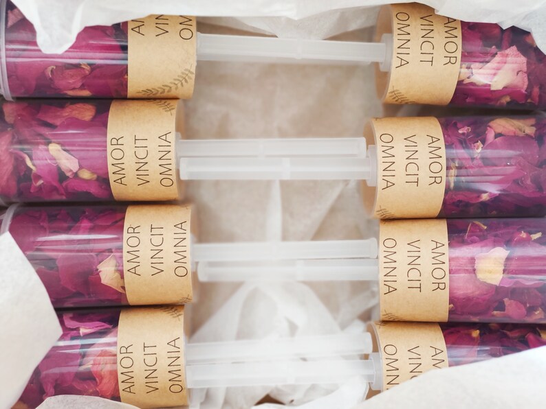 Confetti Popper Biodegradable Confetti from Dried Flowers / Etsy