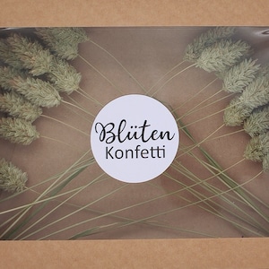 20 pezzi di mini steli di Phalaris naturale essiccato in una scatola di carta kraft e adesivo originale di coriandoli di fiori / fiori secchi matrimonio