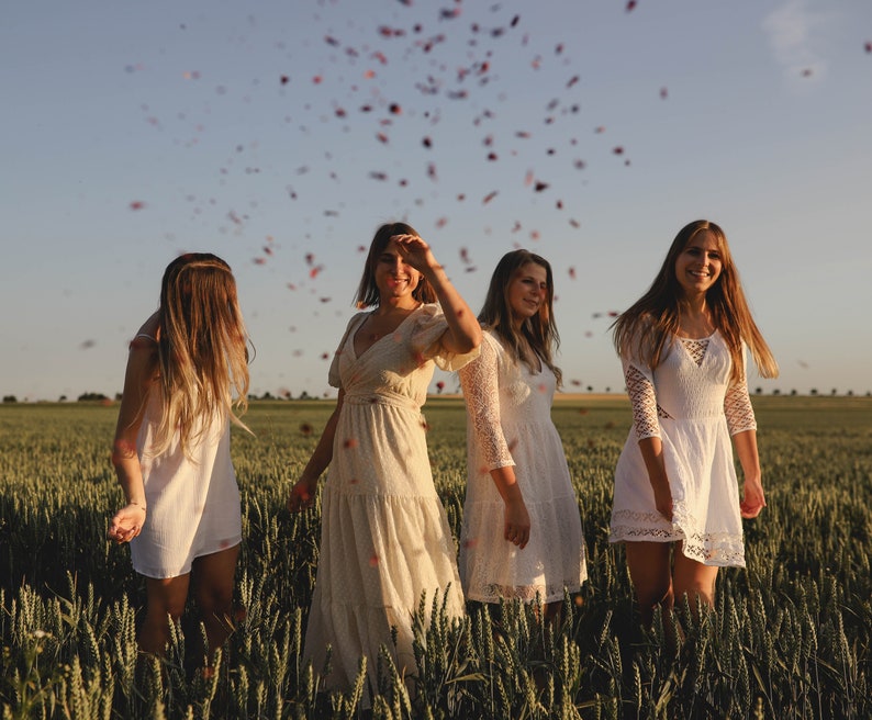 Confetti Popper Biodegradable Confetti from Dried Flowers / Etsy