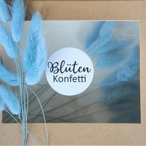 20 mini steli azzurri Lagurus – confezionati in modo sostenibile in una scatola di carta kraft | Perfetto per matrimoni, decorazioni e baby shower