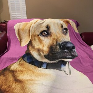 May include: A pink throw blanket featuring a close-up image of a dog's face. The dog has brown eyes, a black nose, and a blue and black plaid collar. The blanket is draped over a red leather couch.