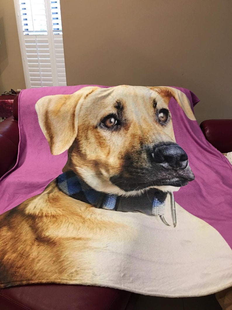 May include: A pink throw blanket featuring a close-up image of a dog's face. The dog has brown eyes, a black nose, and a blue and black plaid collar. The blanket is draped over a red leather couch.