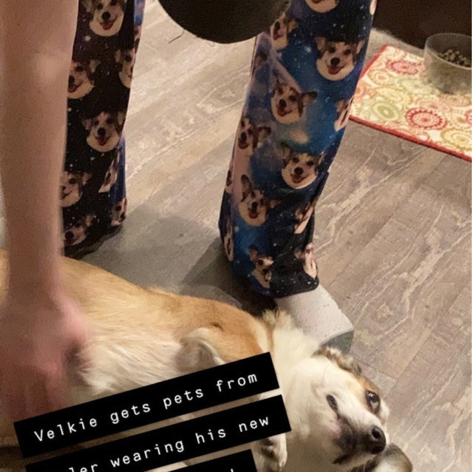 Hanukkah pajama bottoms