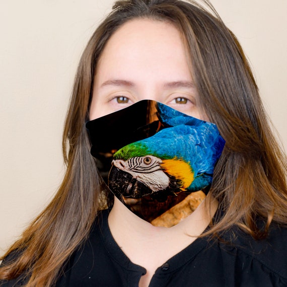 Parrot Face Mask with Filter Pocket Adjustable ear loops 3 Etsy