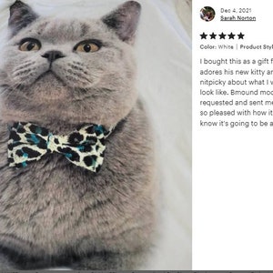May include: A gray cat wearing a bow tie with a black and teal animal print. The cat is centered in the image, with a white background. The image is a product style with a size of 50" x 60".