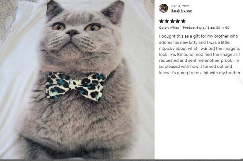 May include: A gray cat wearing a bow tie with a black and teal animal print. The cat is centered in the image, with a white background. The image is a product style with a size of 50" x 60".