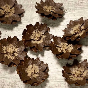 Hand painted pine cone flowers, Dried Decorative pine cone flowers, Unique pine cone flowers for art, floral supplies, painted decor