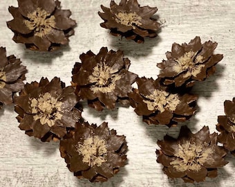 Hand painted pine cone flowers, Dried Decorative pine cone flowers, Unique pine cone flowers for art, floral supplies, painted decor