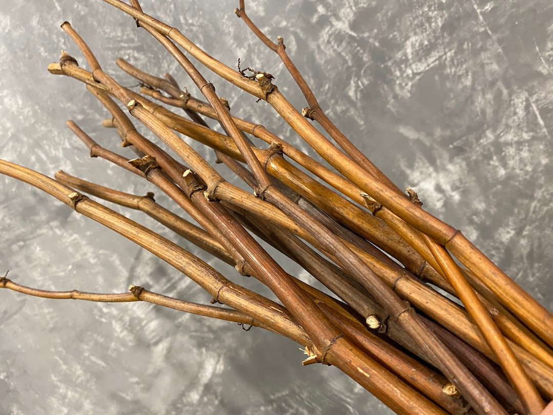 Dried Decorative Branches Natural Branches Brown Branches Etsy