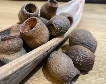 Large Eucalyptus gum nuts, Eucalyptus Seed Pods, Eucalyptus Pods, Christmas Decorations, Natural Pods, Eucalyptus Dried Plants