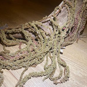 Bi-color Preserved Hanging Amaranthus, Preserved Amaranth, natural preserved amaranth, hanging amaranth, natural home decor, unique