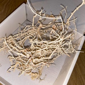 Könnte beinhalten: Ein Haufen weißer, getrockneter und verdrehter Äste in einer weißen Box. Die Äste sind in einem zufälligen Muster angeordnet und scheinen natürlich zu sein.