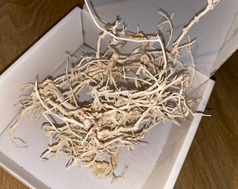May include: A pile of white, dried, and twisted branches in a white box. The branches are arranged in a random pattern and appear to be natural.