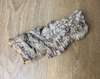 Corteza de corcho natural única, corteza de corcho, piezas de corteza de corcho, corteza de árbol natural, decoración rústica, corteza de terrario, decoración de vivario