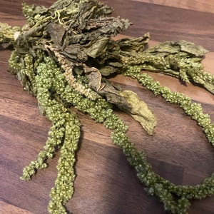 Green Preserved Hanging Amaranthus leaves, Preserved Amaranth leaves, natural preserved amaranth leaves, hanging amaranth leaves
