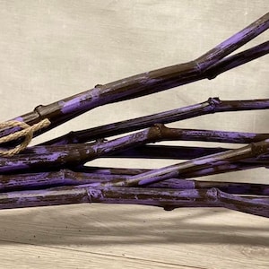Hand painted Dried Decorative Branches, natural branches, painted branches, Dried Branches, unique painted Branches, Unique home decor