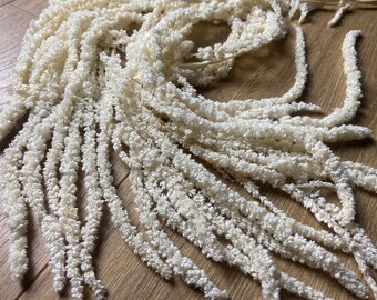 May include: A bunch of dried white amaranth stems, also known as foxtail amaranth, arranged on a wooden surface. The stems are long and slender, with a fluffy, feathery texture.