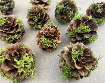 Natuurlijke gedroogde dennenappels versierd met geconserveerd mos, lariksplantkegels, handgemaakte kerstdecoratie, kerstambachten, knutselen voor decor