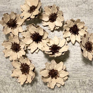 Hand painted pine cone flowers, Dried Decorative pine cone flowers, Unique pine cone flowers for art, floral supplies, painted decor