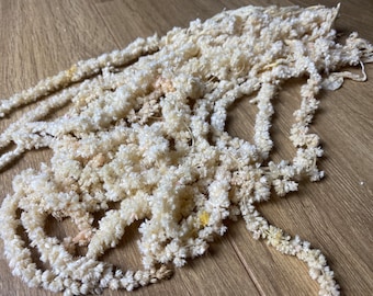 May include: A bunch of dried white flowers, arranged in a long, flowing garland. The flowers are delicate and feathery, with a soft, creamy white color.