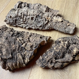 3 Einzigartige Natürliche Korkrinde, Korkrinde, Korkrinde Stücke, Natürliche Baumrinde, Rustikales Dekor, Terrarium Rinde, Vivarium Dekor