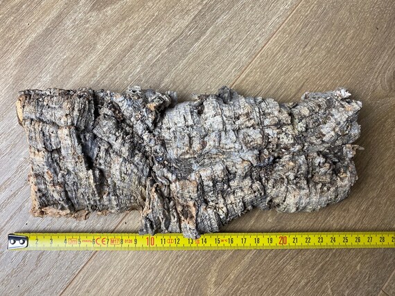 Boomschors Met Mooie Natuurlijke Structuren En Een Vlek Ruwe Schors Als Ecologische Achtergrond Toont Prachtige Natuur Fijne 223649044