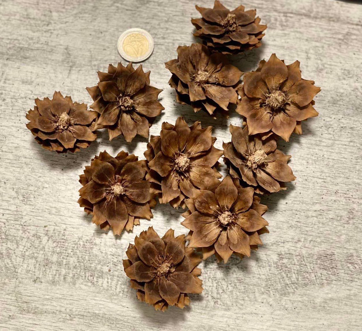 Flores secas con cono de pino de algodón para decoración interior