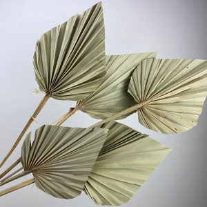 Dried Palm Leaves , Palm leave, rustic home decor, unique dried palm leave, rustic home decor, vase filler, bohemian decor, bohemian home