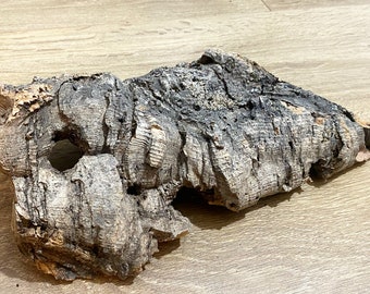 Unique Natural cork bark, cork bark, Cork Bark Pieces, Natural Tree Bark, Rustic Decor, terrarium bark, vivarium decor
