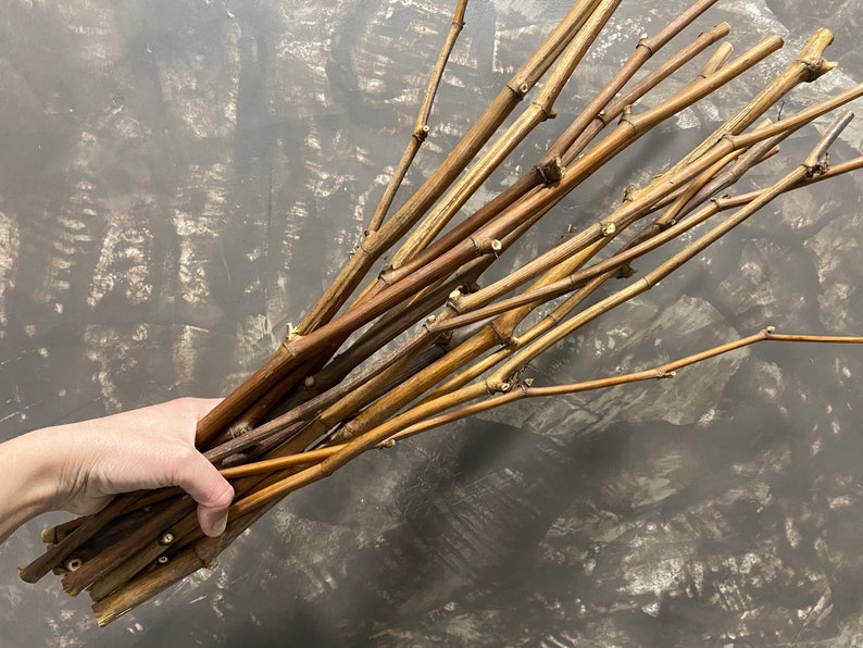 Dried Decorative Branches, Natural Branches, Brown Branches, Florist