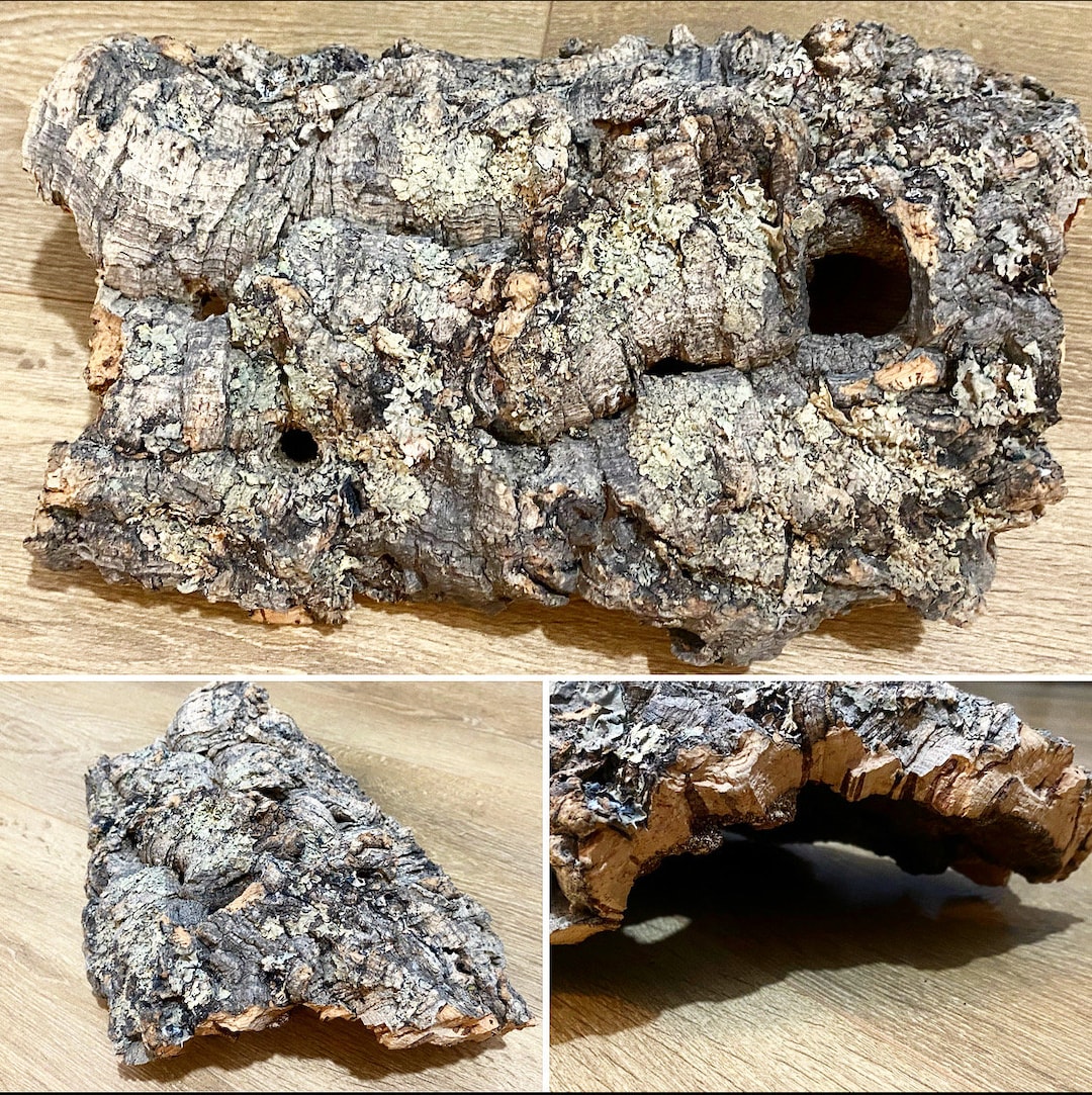 Unique Natural Cork Bark, Cork Bark, Cork Bark Pieces, Natural Tree