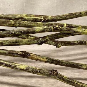 Hand painted Dried Decorative Branches, natural branches, painted branches, Dried Branches, unique painted Branches, Unique home decor