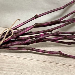 Hand painted Dried Decorative Branches, natural branches, painted branches, Dried Branches, unique painted Branches, Unique home decor