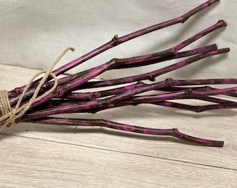 Hand painted Dried Decorative Branches, natural branches, painted branches, Dried Branches, unique painted Branches, Unique home decor