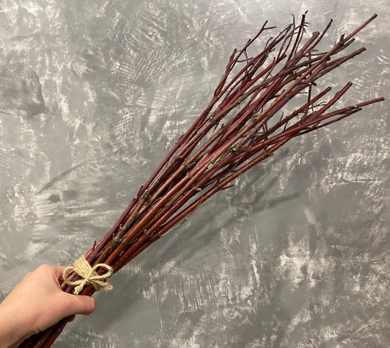 Dried Decorative Branches, Natural Branches, Red Brown Branches