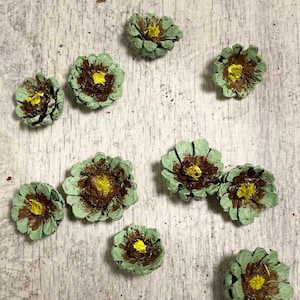 Hand painted pine cone flowers, Dried Decorative pine cone flowers, Unique pine cone flowers for art, floral supplies, painted decor