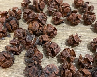 Dried seed pods for decorations, Not Suitable for eat, Christmas Decorations, Natural dried, decor, decor, natural vase filling, dried plant