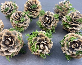 Gedroogde en speciaal behandelde dennenappels versierd met geconserveerd mos, lariksplantkegels, handgemaakte kerstdecoratie, kerstknutsels