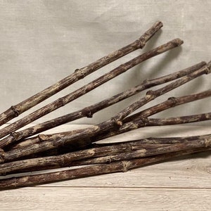 Hand painted Dried Decorative Branches, natural branches, painted branches, Dried Branches, unique painted Branches, Unique home decor