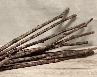 Hand painted Dried Decorative Branches, natural branches, painted branches, Dried Branches, unique painted Branches, Unique home decor