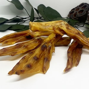 Premium-Qualität Natural Duck Feet Leckereien für Hunde | Enten Leckereien