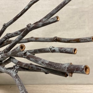 Hand painted Dried Decorative Branches, natural branches, painted branches, Dried Branches, unique painted Branches, Unique home decor