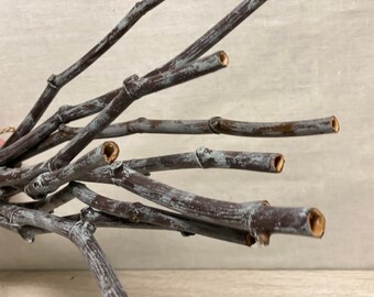 Hand painted Dried Decorative Branches, natural branches, painted branches, Dried Branches, unique painted Branches, Unique home decor
