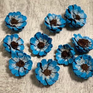 Hand painted pine cone flowers, Dried Decorative pine cone flowers, Unique pine cone flowers for art, floral supplies, painted decor