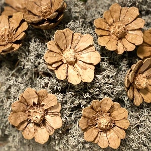Handmade natural pine cone flowers, Dried Decorative pine cone flowers, Unique pine cone flowers for art, floral supplies, natural decor