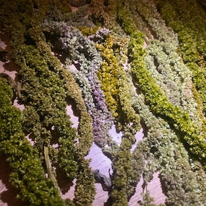 Green Preserved Hanging Amaranthus, Preserved Amaranth, natural preserved amaranth, hanging amaranth, natural home decor, unique