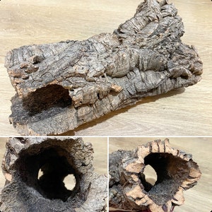 May include: A natural cork bark log with a large hole running through it. The bark is a light brown color and has a rough texture. The log is perfect for use in terrariums or as a decorative element.