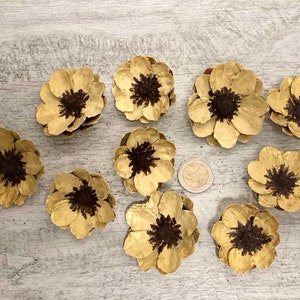 Hand painted pine cone flowers, Dried Decorative pine cone flowers, Unique pine cone flowers for art, floral supplies, painted decor