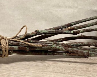 Hand painted Dried Decorative Branches, natural branches, painted branches, Dried Branches, unique painted Branches, Unique home decor